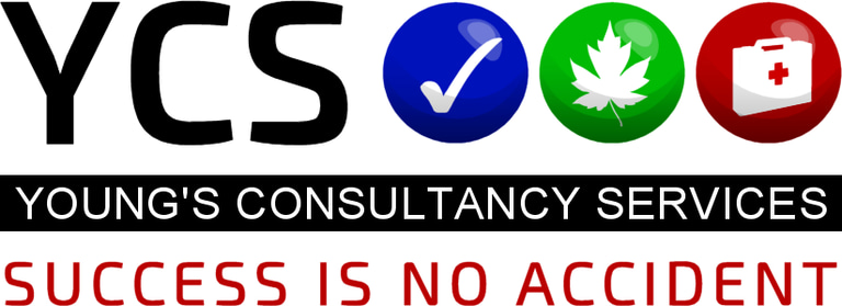 YOUNG'S CONSULTANCY SERVICES LTD logo
