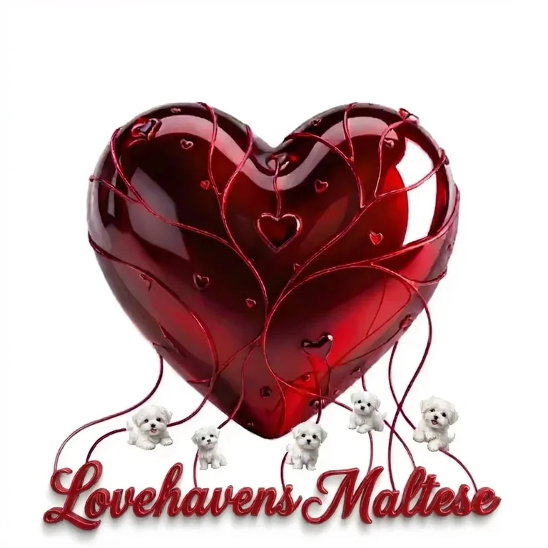 LoveHaven's Maltese logo