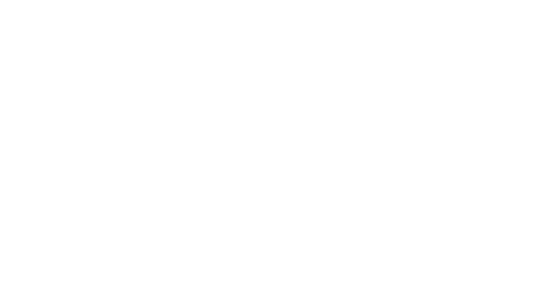 flipbid.com logo