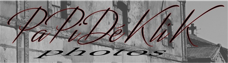 papidéklik photos logo