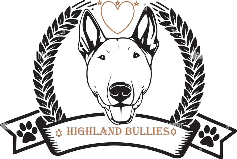 Highland Bullies logo