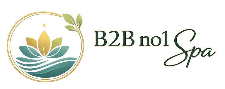 B2B no1 Spa logo