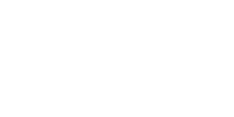 Whil It Show? logo