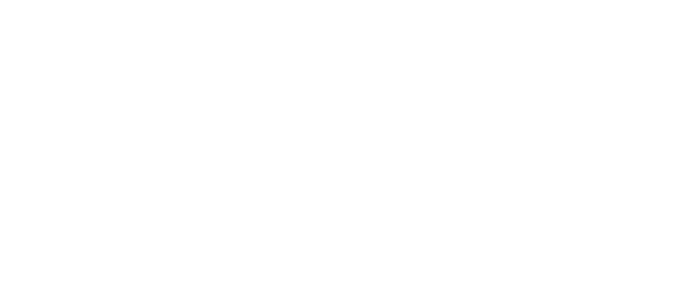 Sky Jet logo