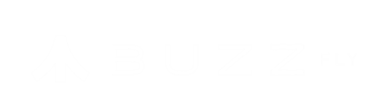 Buzz Fly logo
