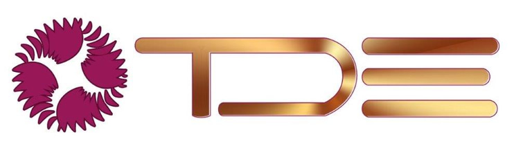 Electromagnetic Stirrer repair EMS logo