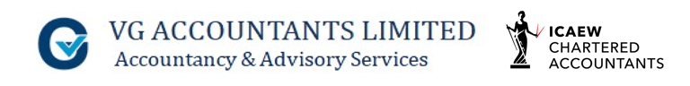 VG Accountants Limited logo