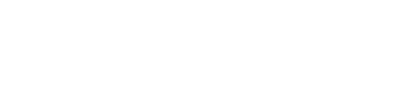 Therapie Holistique Femmes logo