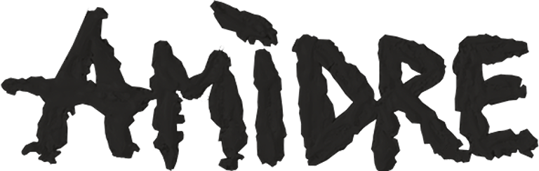 AMIDRE logo