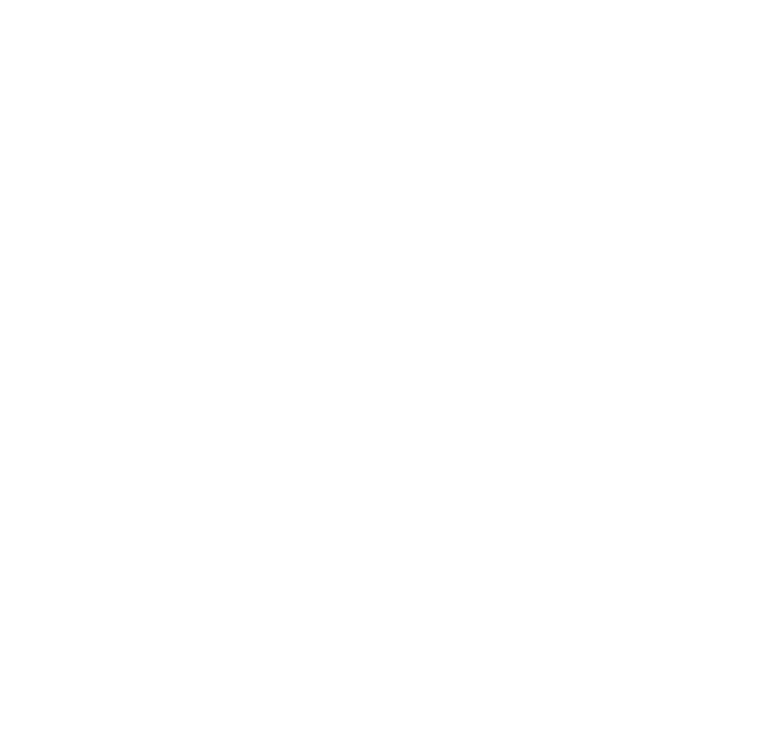 Shawn Murphy Media logo