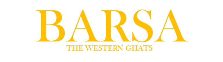 Barsa logo
