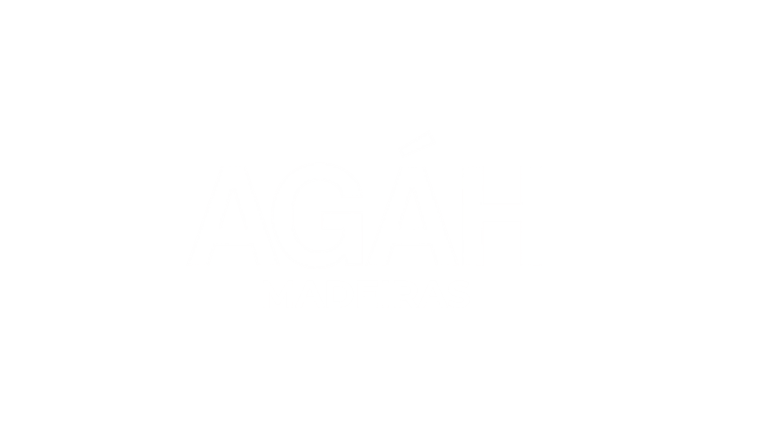 AGAH MADEIRAS logo