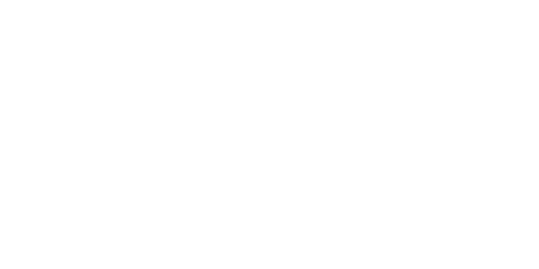 NEXUS Netro Ltd logo