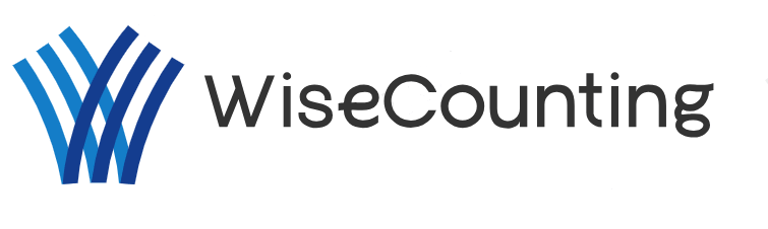 WiseCounting logo