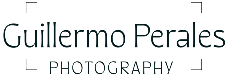 Guillermo Perales Photo logo
