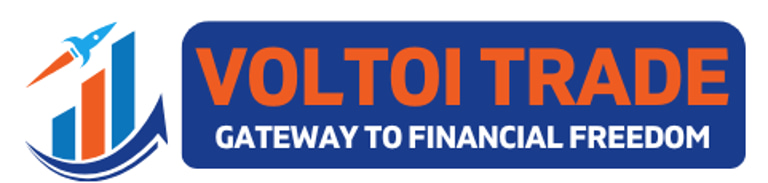 Voltoi Trade logo
