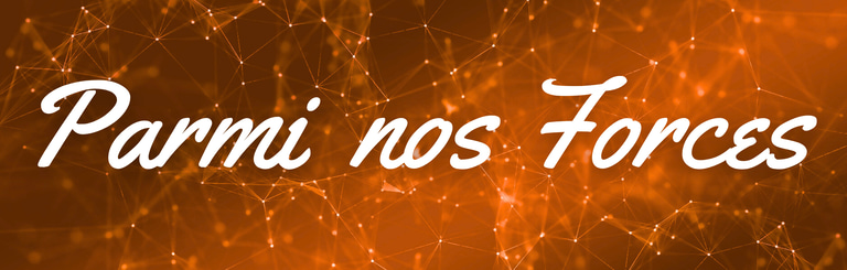 Parmi Nos Forces logo