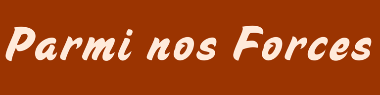 Parmi Nos Forces logo