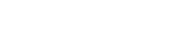 Lean X logo