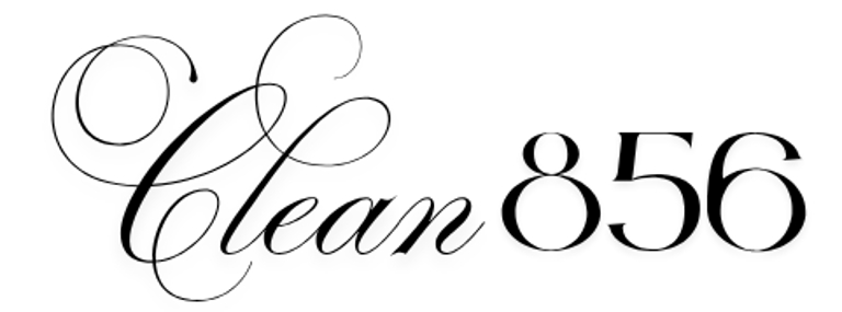 Clean 856 LLC logo