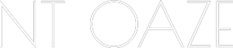 NT OAZE ANDRIUS VELYKIS NEPRIKLAUSOMAS NT BROKERIS logo