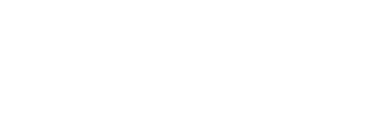 BSG - Bocayuva & Souza Sustainability Group logo