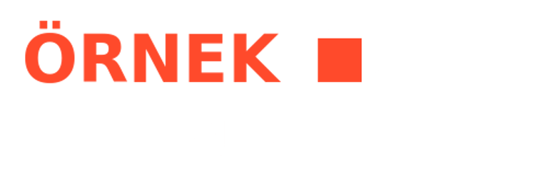 Örnek Lojistik logo