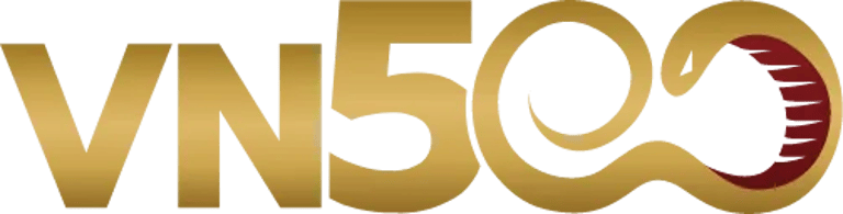 VN500 logo