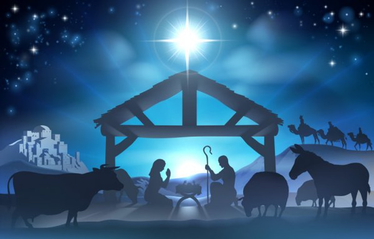 Nativity Lover logo