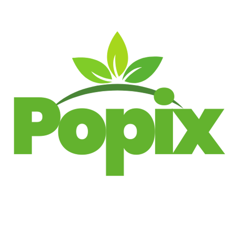 POPIX logo