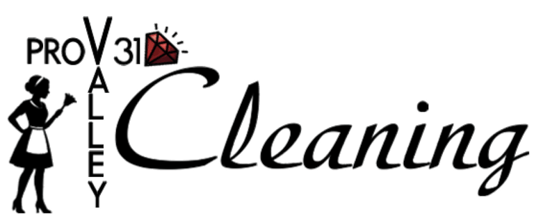 Pro Valley 31 Cleaning logo