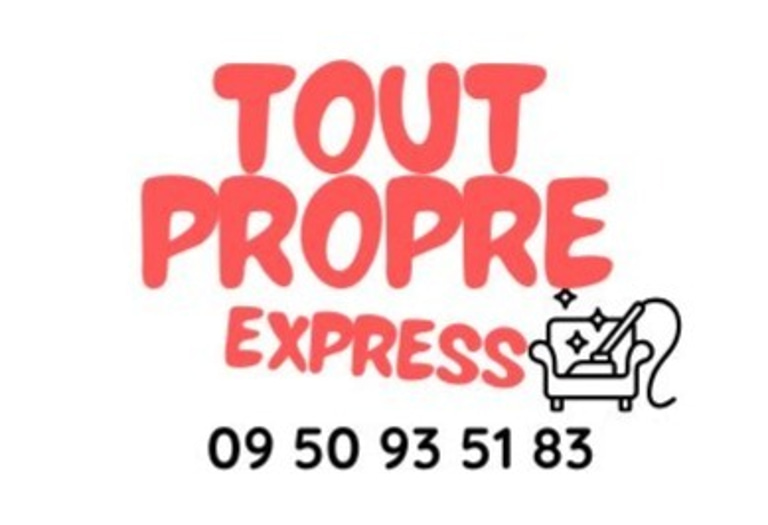 Tout Propre Express logo