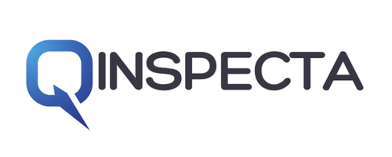 QINSPECTA logo