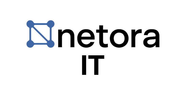 Netora IT logo