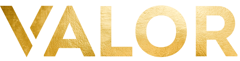 Valor Sports Management logo