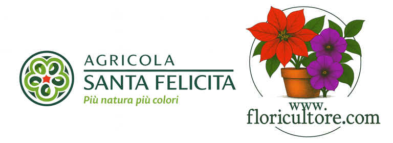 Agricola Santa Felicita logo