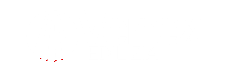 Venex Edilizia logo