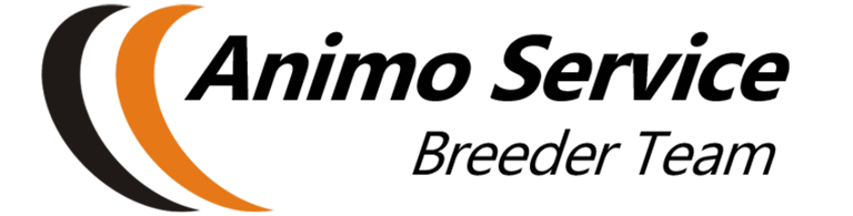 Animo Service logo