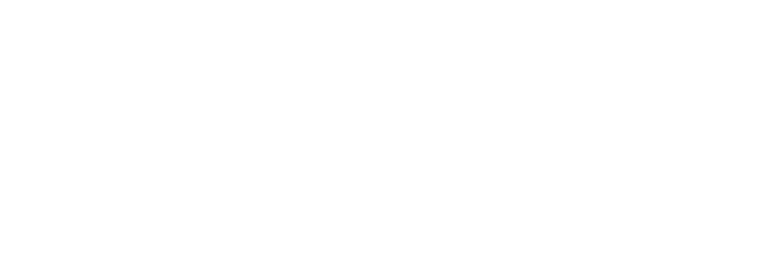 MoFlow Solutions logo
