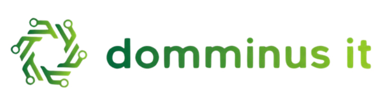 Domminus IT logo