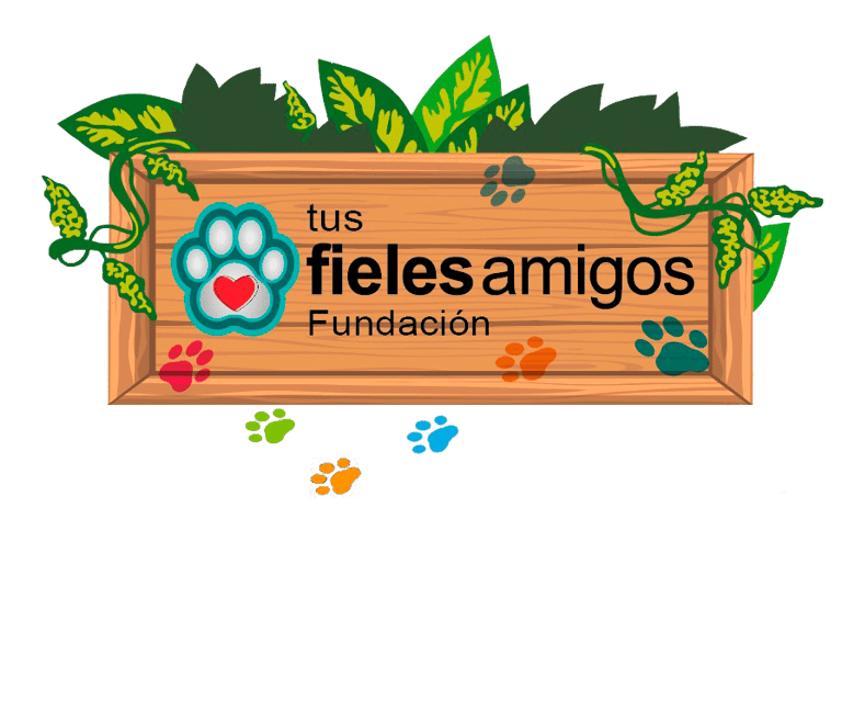 Fundación Tus Fieles Amigos A.C. logo