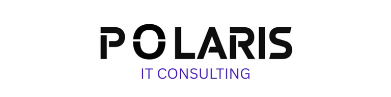 POLARIS IT CONSULTING logo