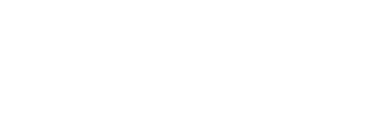 Broken Oak Bernedoodles logo