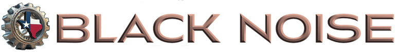 Black Noise logo