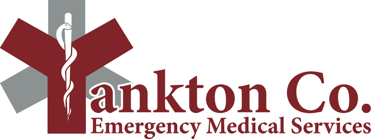 Emergency Medical Services logo