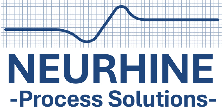NEURHINE Process Solutions logo