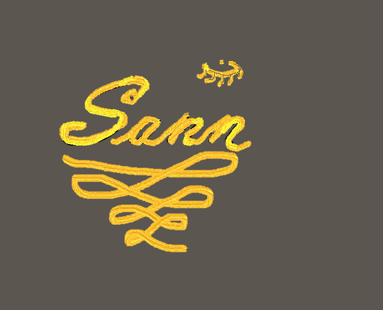 Sann logo