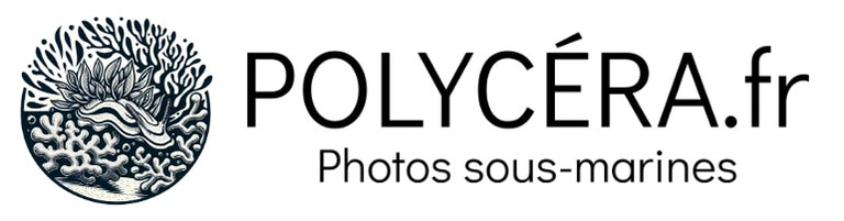 CDPV 22 logo