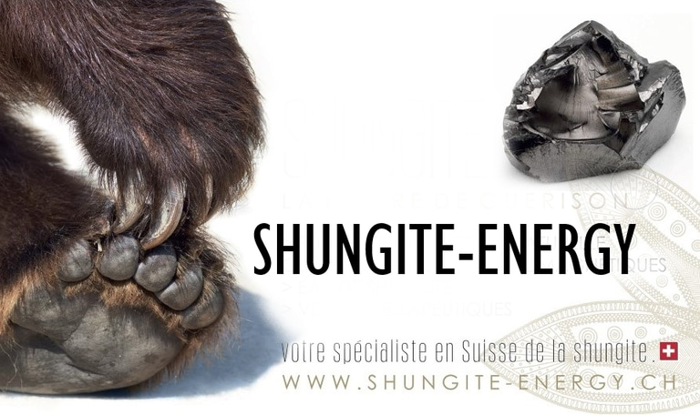 shungite-energy ch logo