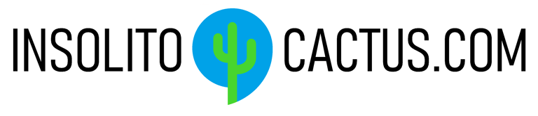 INSOLITOCACTUS logo